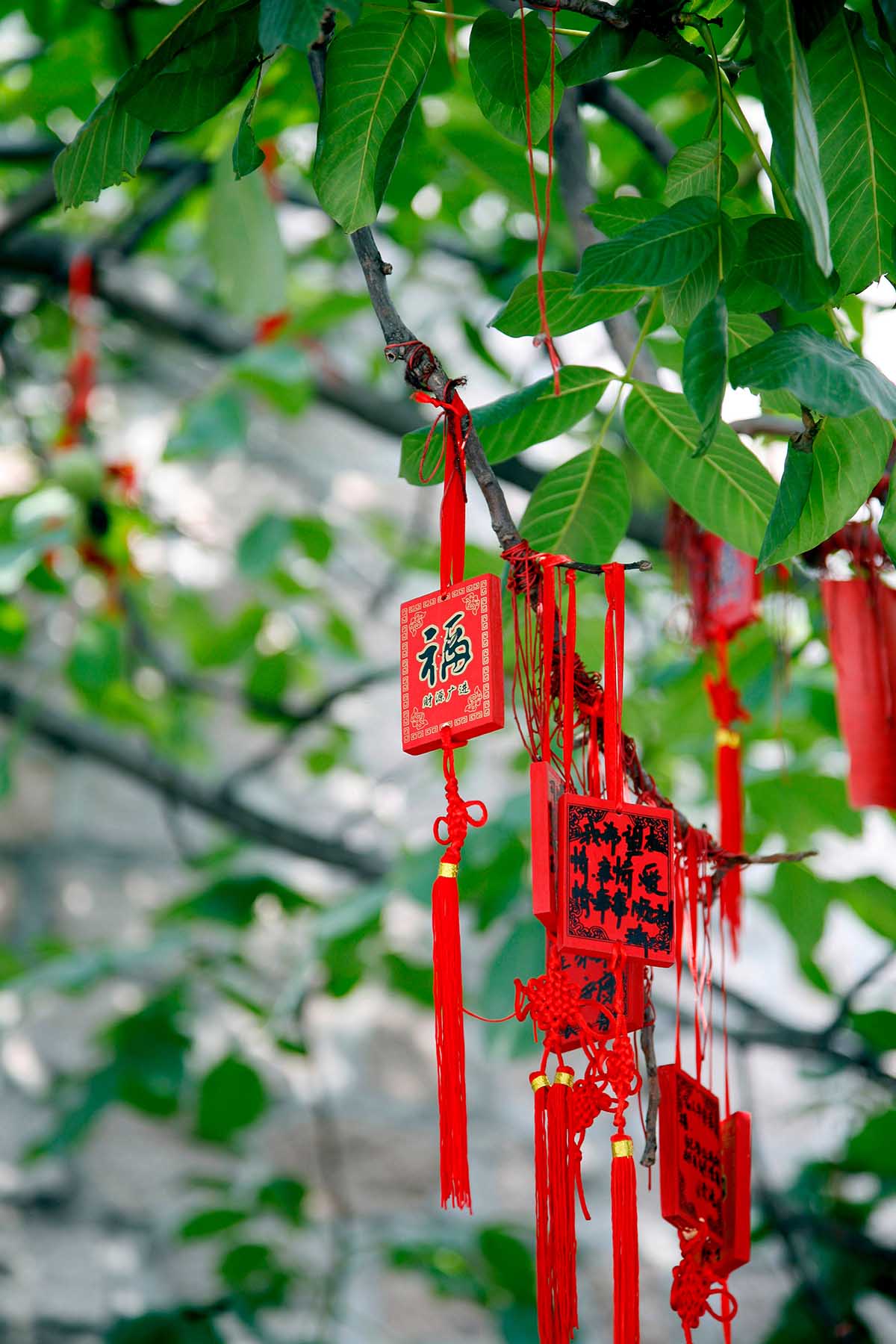 萬有清潔的最新消息 萬有清潔的最新消息圖片